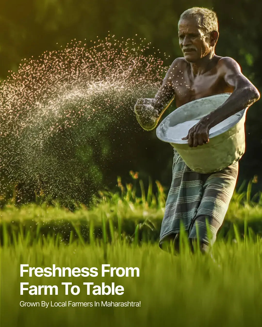 Black Wheat Flour for Balanced Sugar Levels and Better Digestion